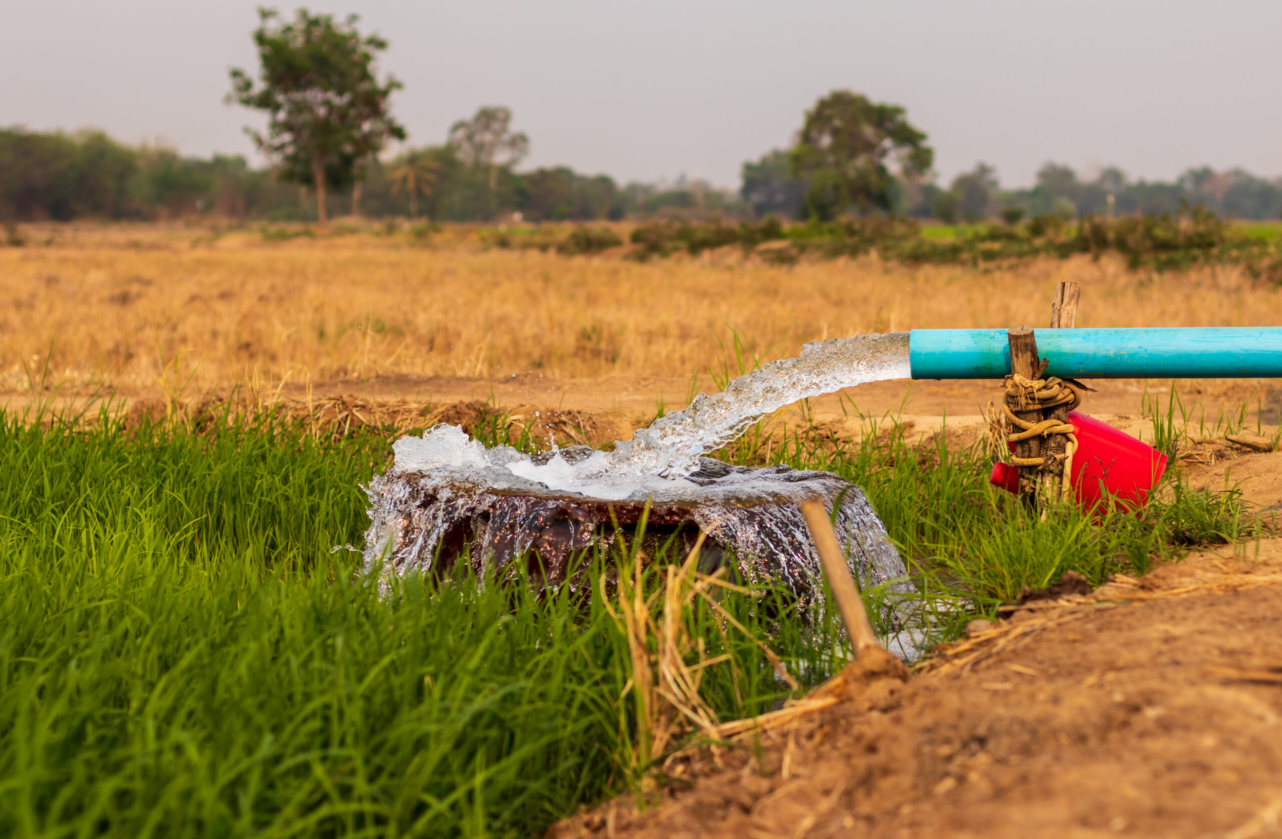 Irrigation — eau traitée utilisée pour l'arrosage des espaces verts