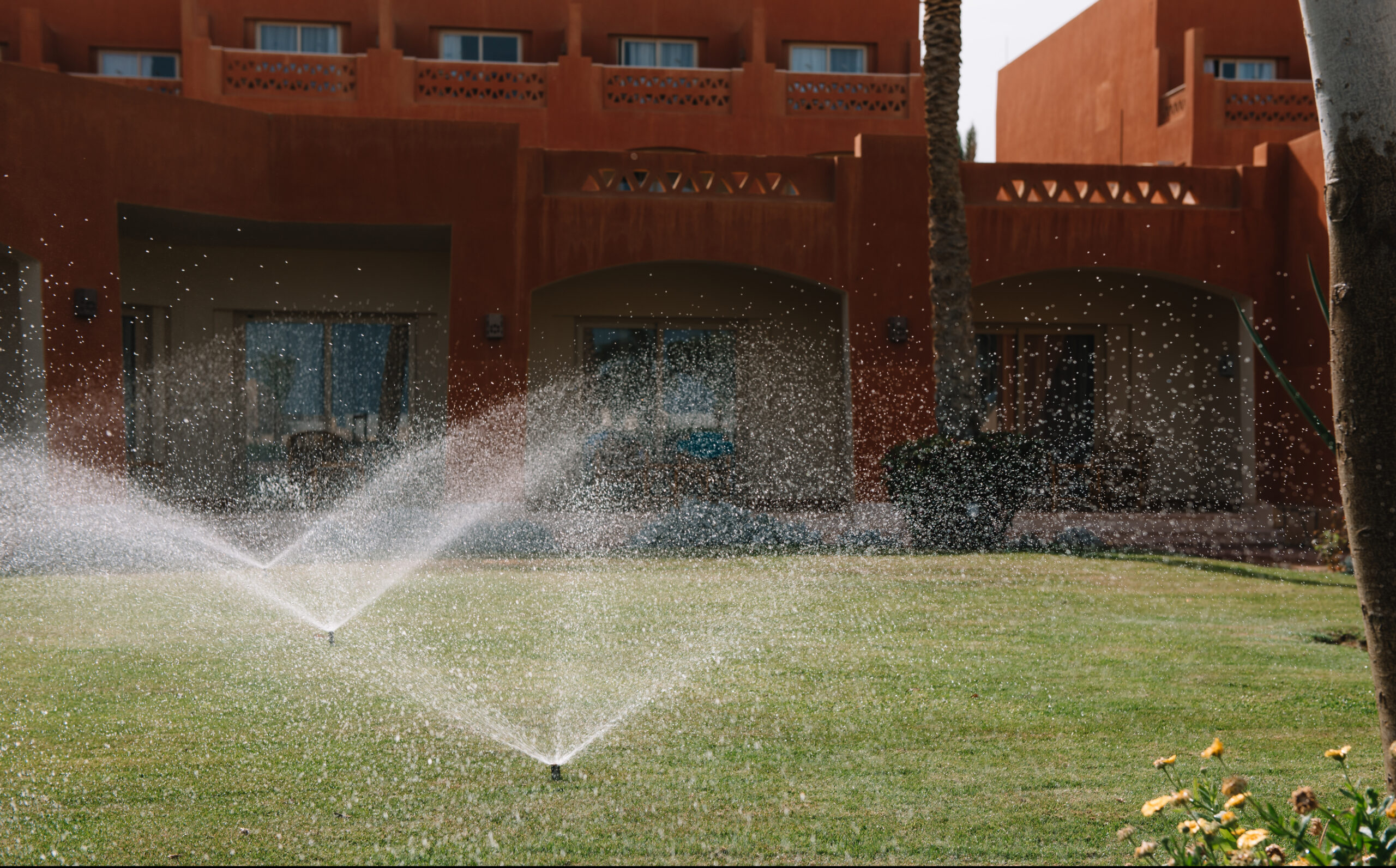 Reuse of treated water — Tivaouane field project, Senegal